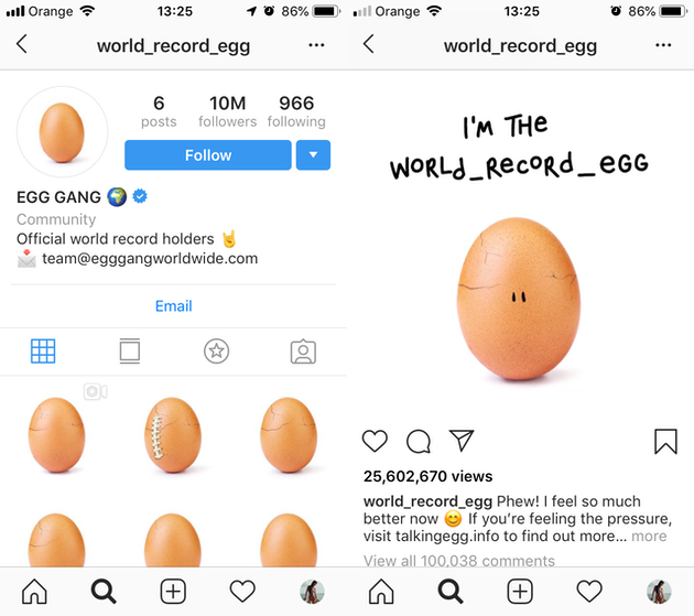 لقطات من @ world_record_egg Instagram تغذية