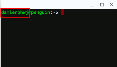 Nombre de usuario del terminal de Chromeos Linux