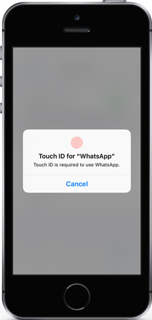 Cara mengaktifkan Touch ID dan Face ID di whatsapp 12