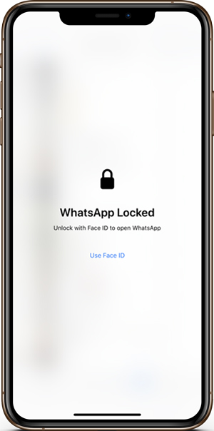 Cara mengaktifkan Touch ID dan Face ID di whatsapp 13