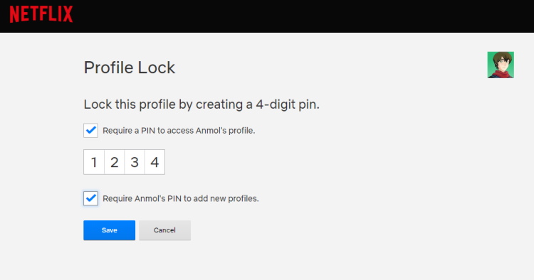Netflix 4 pin lock