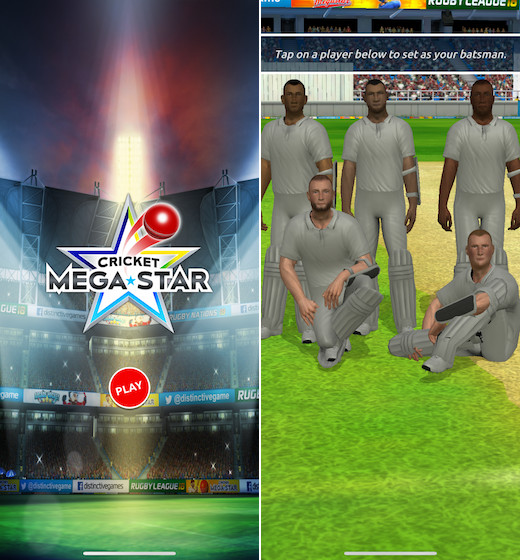Megastar cricket