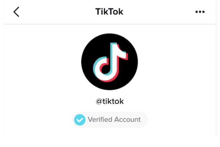 Как получить проверенный значок на TikTok 128