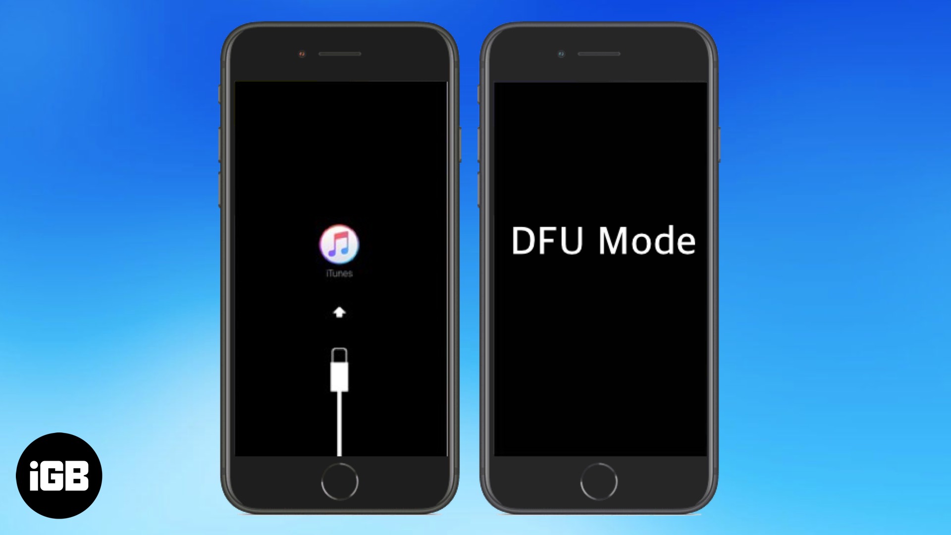 put iphone in dfu mode program