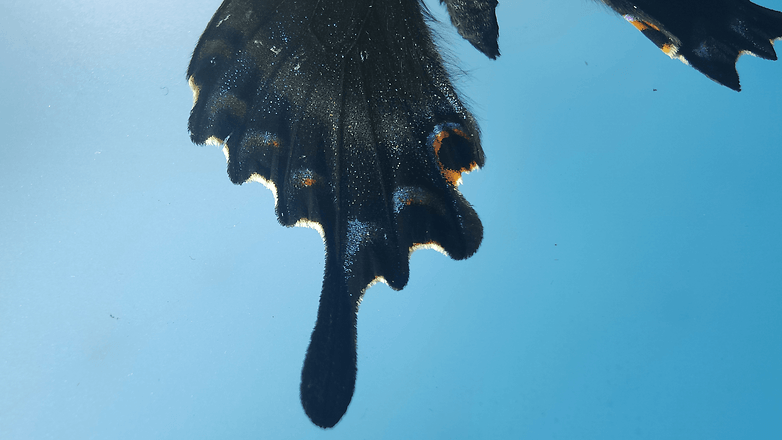 Lente de microscopio Oppo Find X3 Pro NextPit
