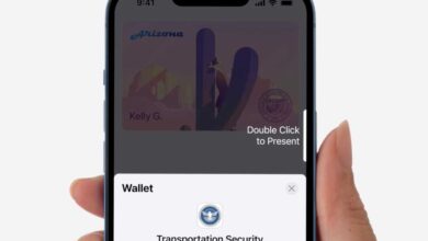 Apple Wallet State ID