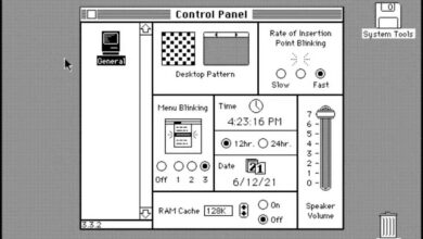 System 6 control panel
