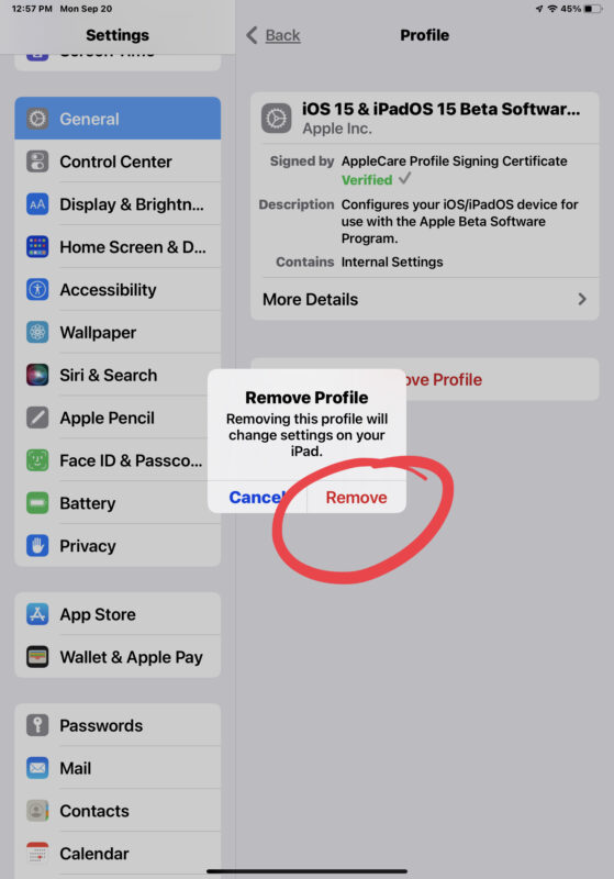 Eliminación de iOS 15 /ipad OS 15 perfil beta