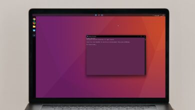 A windows desktop styled to look like ubuntu
