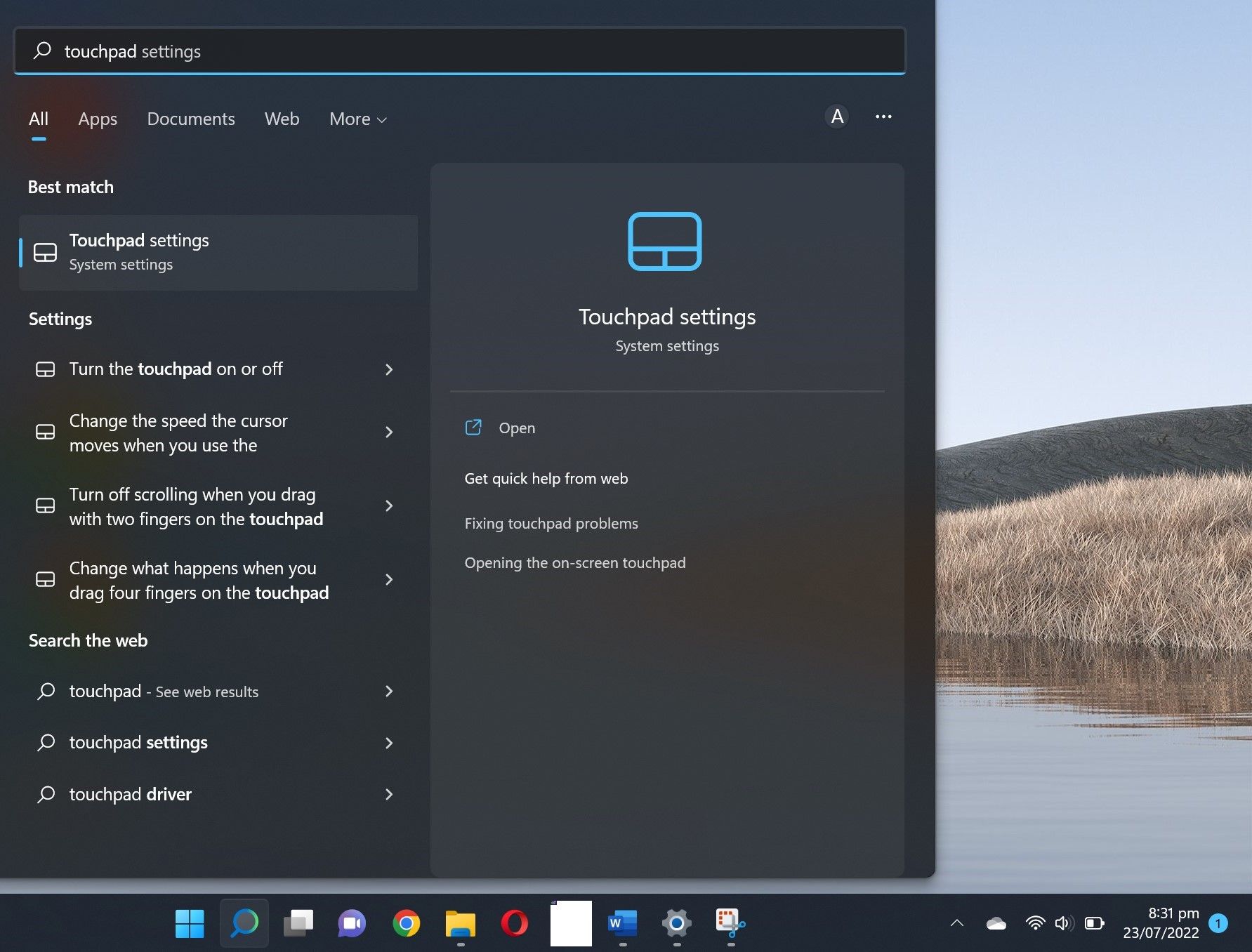 🥇 Cómo Deshabilitar El Panel Táctil En Windows 11 0434