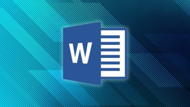 Microsoft Word Icon