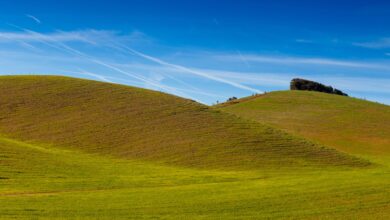 A brown grassy hill with a blue sky above