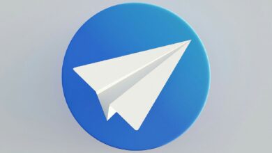 picture of telegram icon plane