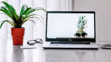 Laptop Placed Near a Plant on Table