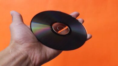 compact disc (CD) in palm of person's hand