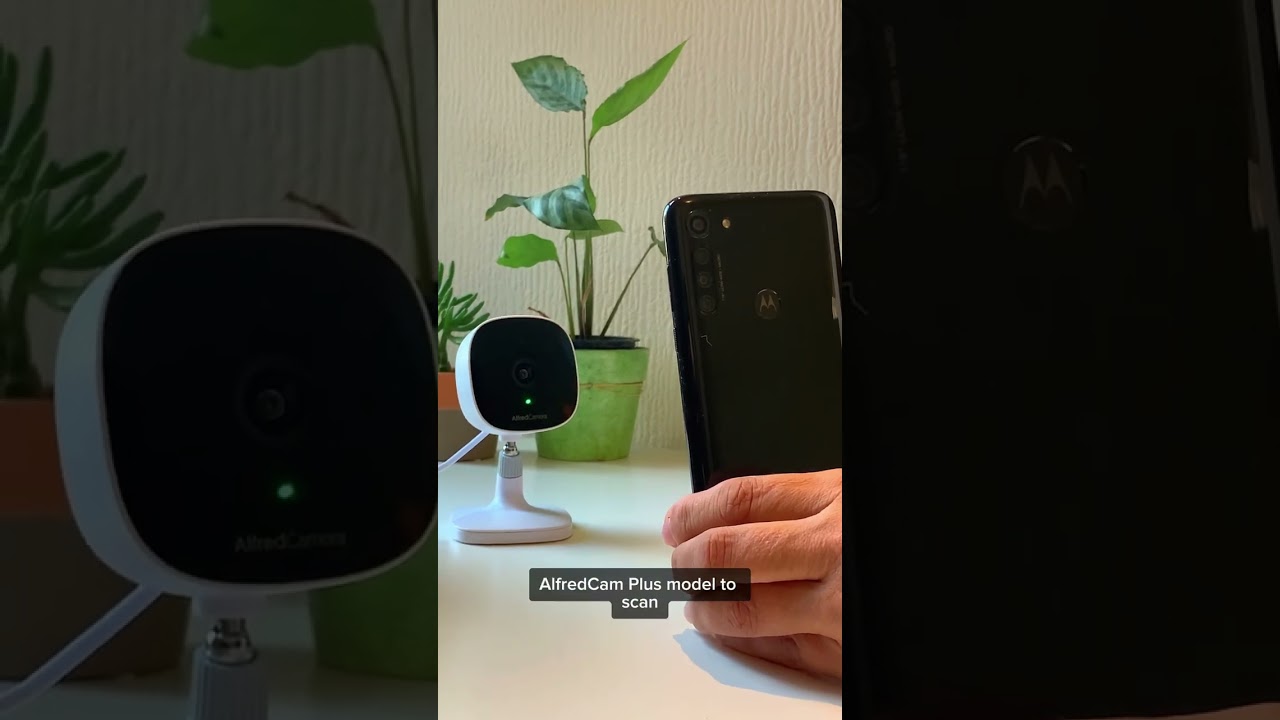 Alfred Camera PC: 7 maneras de optimizar tu seguridad