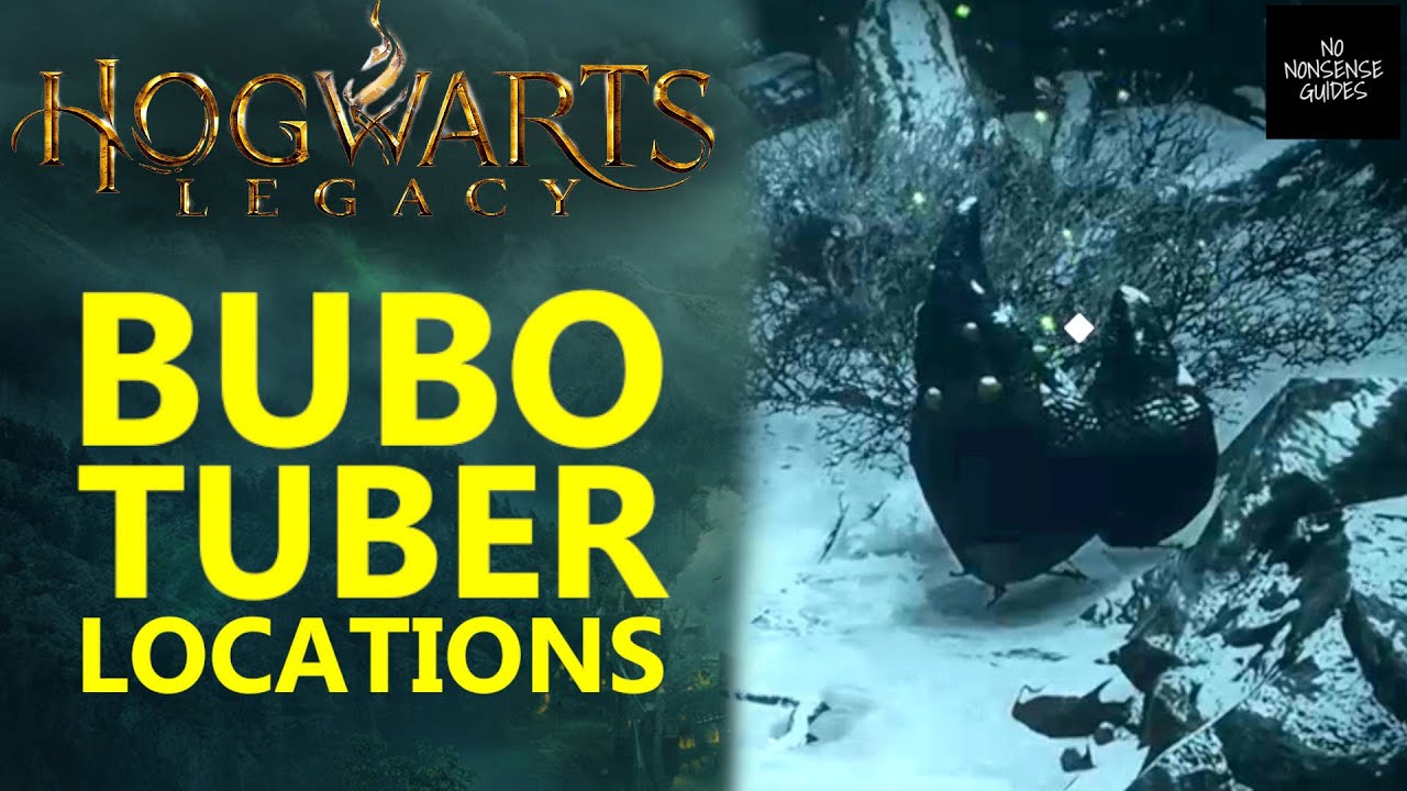 Bubotubers Hogwarts Legacy: 7 consejos para disfrutar al máximo