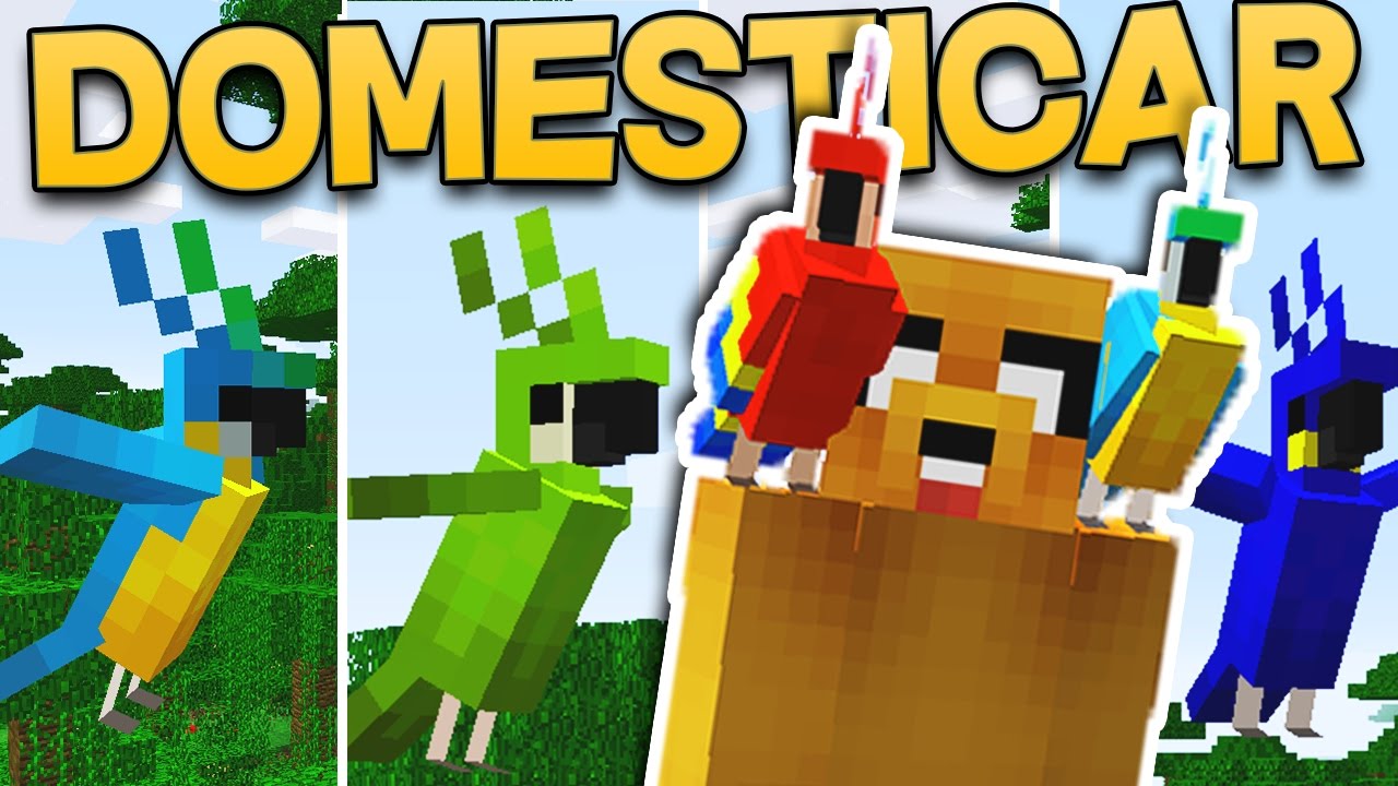 Como domar un loro en Minecraft: 5 pasos fáciles para lograrlo