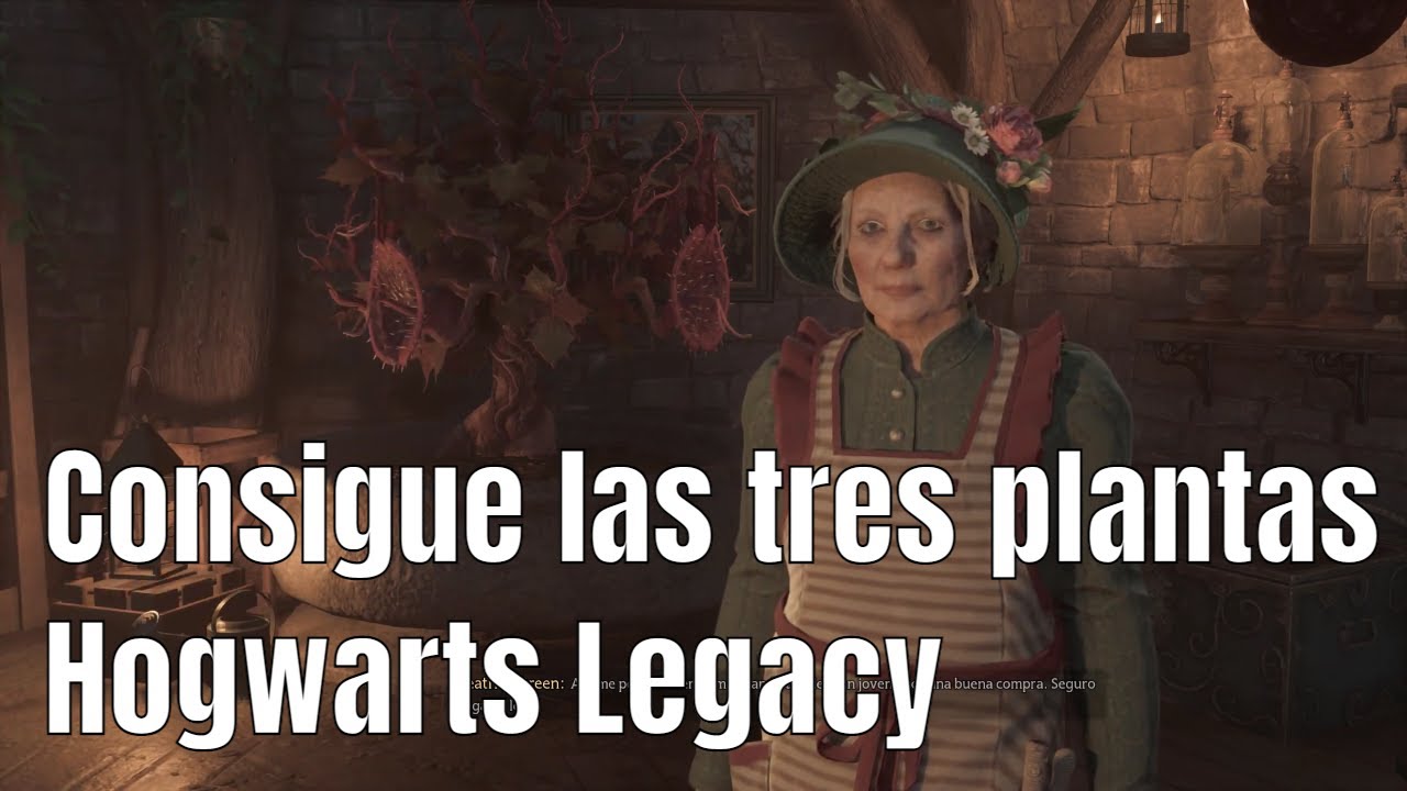 Compra las tres plantas de combate Hogwarts Legacy: 7 tips infalibles