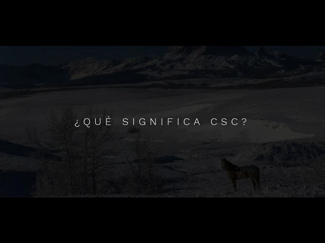 Csc que es: 5 claves para entender su importancia en 2025