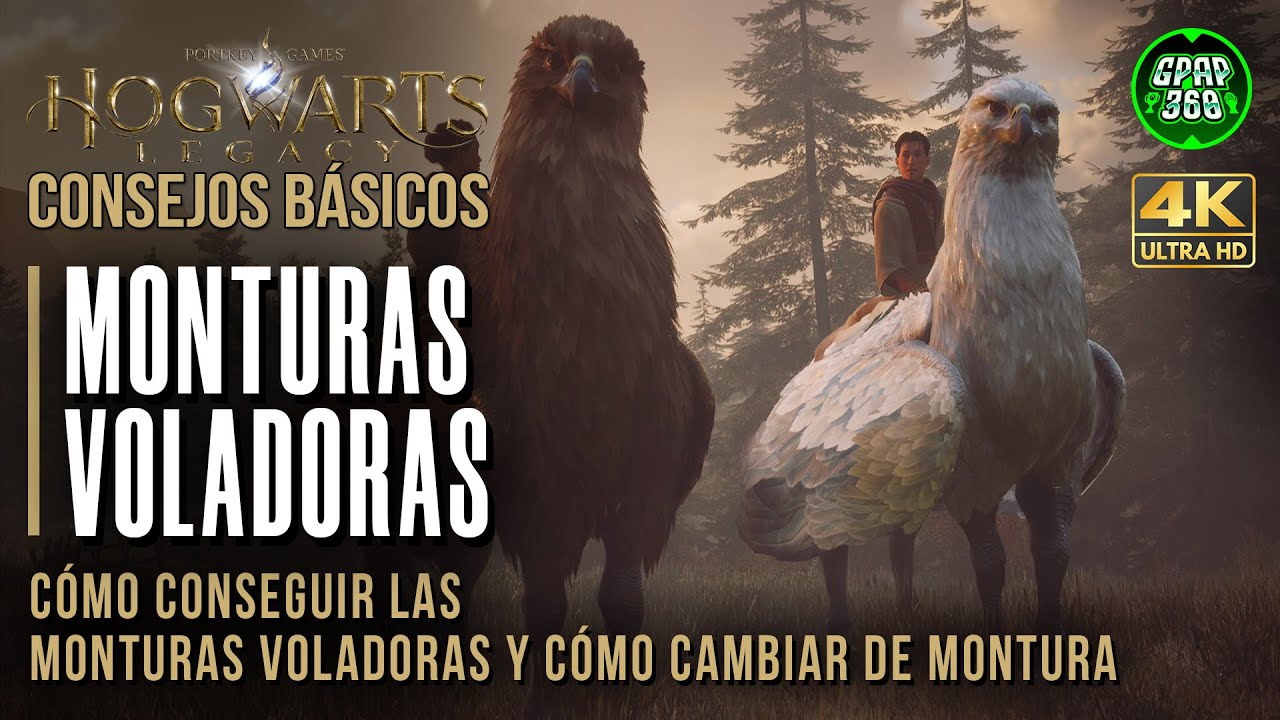 Monturas voladoras Hogwarts Legacy: 7 secretos para volar fácil