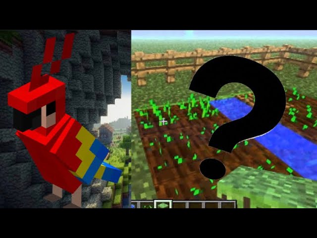 Qué comen los loros de Minecraft: 7 opciones deliciosas 2025