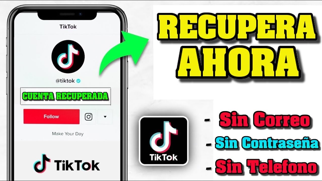 Rastrear cuenta de TikTok: 7 pasos para hacerlo fácil y rápido
