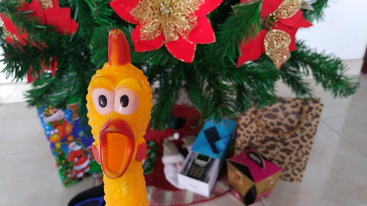 Regalos graciosos amigo invisible 7 ideas hilarantes que sorprenden