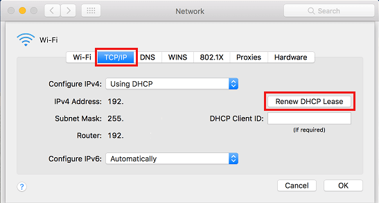 Renovar la opción de arrendamiento DHCP en Mac