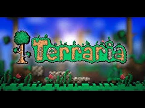 Se ha perdido la conexión Terraria: 5 soluciones efectivas 2025