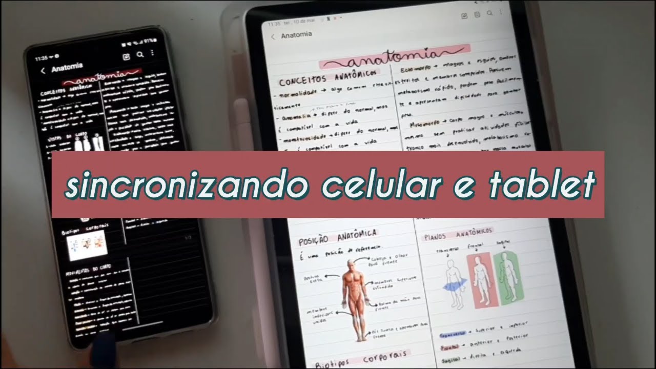 Sincronizar Samsung Notes: 5 consejos para hacerlo fácil en 2025