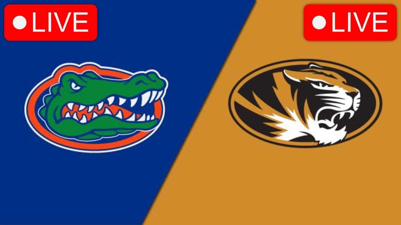 Sports365live 5 razones para seguir tus deportes favoritos