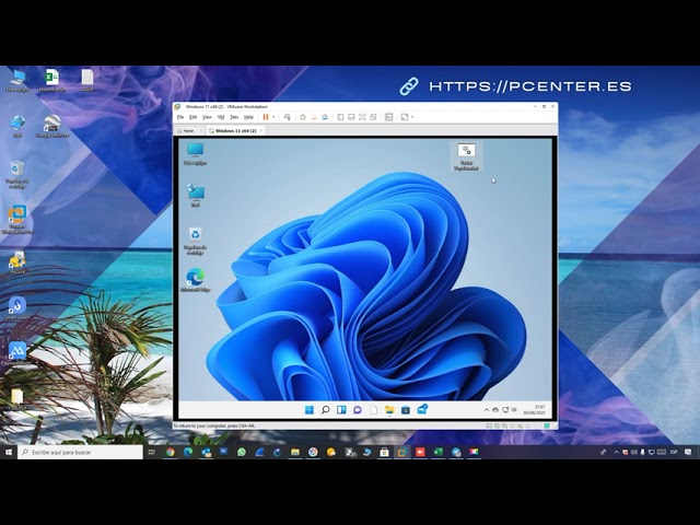 Windows 11 ver extensiones de archivos 7 consejos para simplificar